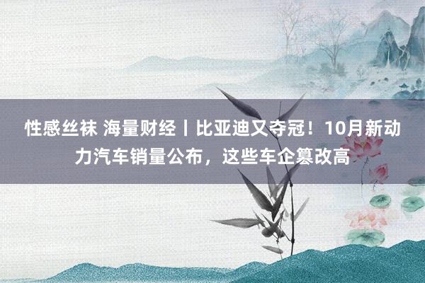 性感丝袜 海量财经丨比亚迪又夺冠！10月新动力汽车销量公布，这些车企篡改高