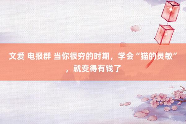 文爱 电报群 当你很穷的时期，学会“猫的灵敏”，就变得有钱了