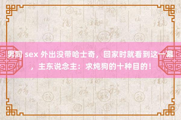 男同 sex 外出没带哈士奇，回家时就看到这一幕，主东说念主：求炖狗的十种目的！