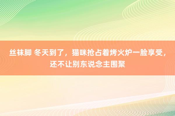 丝袜脚 冬天到了，猫咪抢占着烤火炉一脸享受，还不让别东说念主围聚