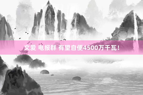 文爱 电报群 有望自便4500万千瓦！