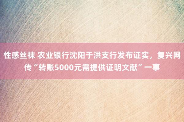 性感丝袜 农业银行沈阳于洪支行发布证实，复兴网传“转账5000元需提供证明文献”一事