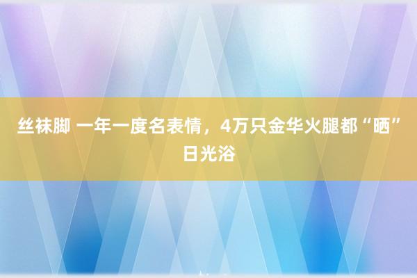 丝袜脚 一年一度名表情，4万只金华火腿都“晒”日光浴