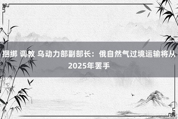 捆绑 调教 乌动力部副部长：俄自然气过境运输将从2025年罢手