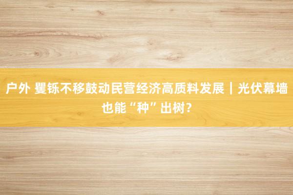 户外 矍铄不移鼓动民营经济高质料发展｜光伏幕墙也能“种”出树？