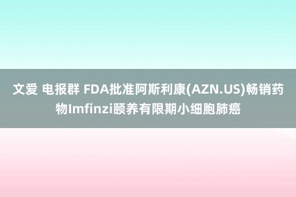 文爱 电报群 FDA批准阿斯利康(AZN.US)畅销药物Imfinzi颐养有限期小细胞肺癌