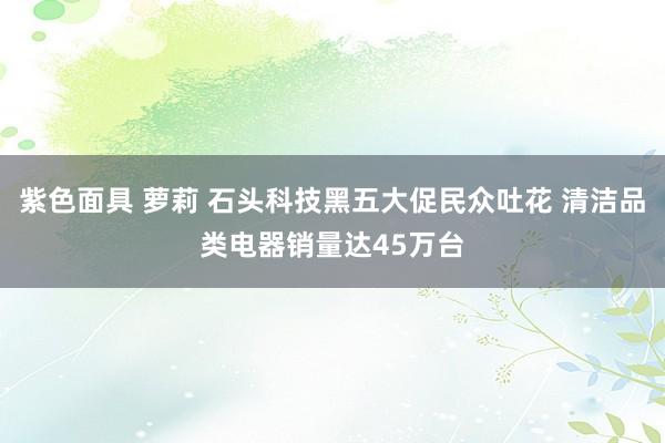 紫色面具 萝莉 石头科技黑五大促民众吐花 清洁品类电器销量达45万台