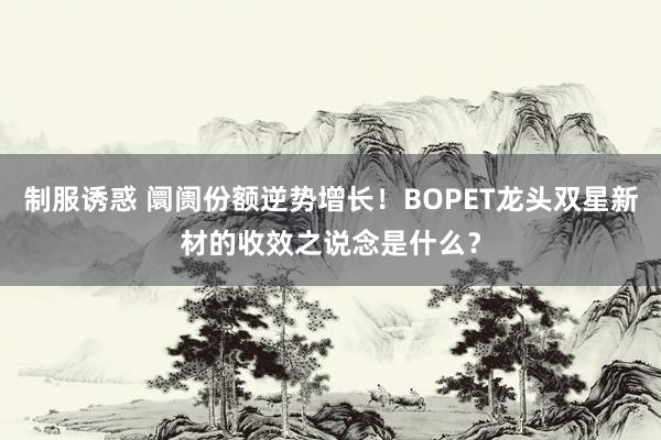 制服诱惑 阛阓份额逆势增长！BOPET龙头双星新材的收效之说念是什么？