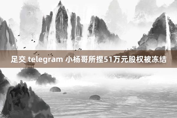 足交 telegram 小杨哥所捏51万元股权被冻结