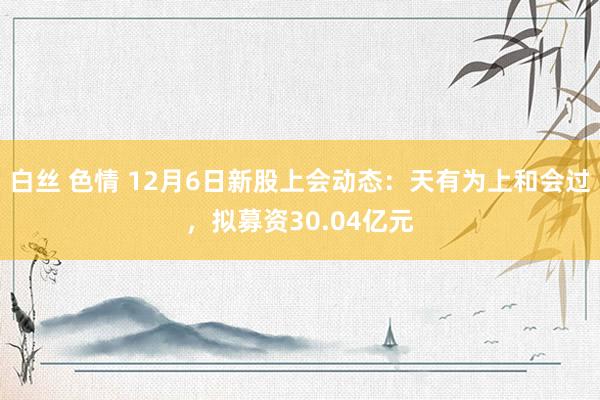 白丝 色情 12月6日新股上会动态：天有为上和会过，拟募资30.04亿元