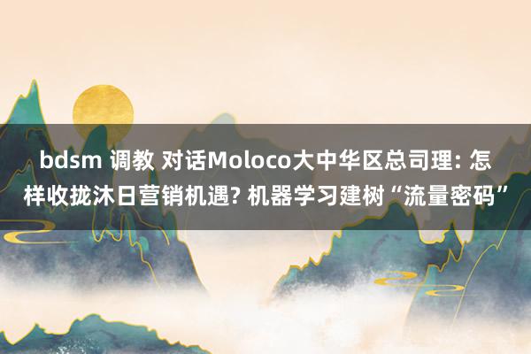 bdsm 调教 对话Moloco大中华区总司理: 怎样收拢沐日营销机遇? 机器学习建树“流量密码”