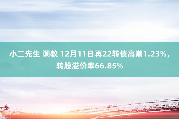 小二先生 调教 12月11日再22转债高潮1.23%，转股溢价率66.85%