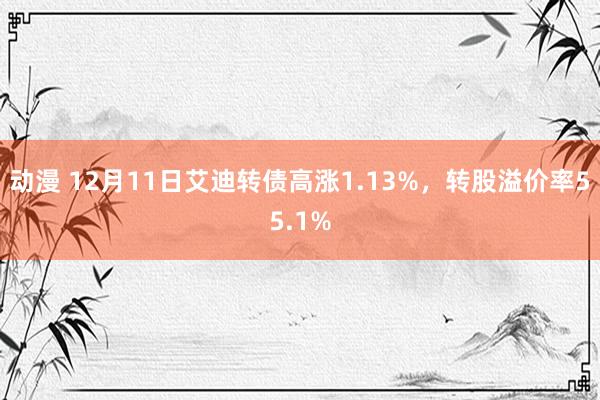 动漫 12月11日艾迪转债高涨1.13%，转股溢价率55.1%