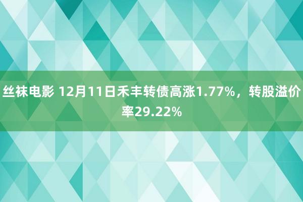 丝袜电影 12月11日禾丰转债高涨1.77%，转股溢价率29.22%