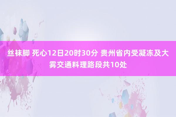 丝袜脚 死心12日20时30分 贵州省内受凝冻及大雾交通料理路段共10处