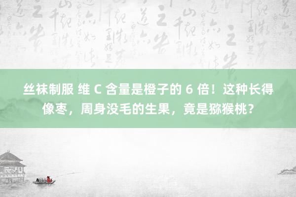 丝袜制服 维 C 含量是橙子的 6 倍！这种长得像枣，周身没毛的生果，竟是猕猴桃？