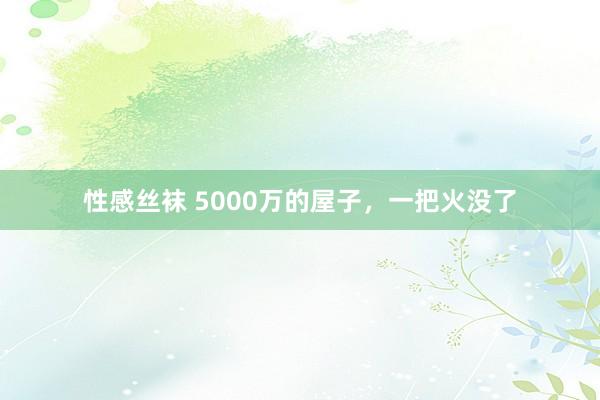 性感丝袜 5000万的屋子，一把火没了