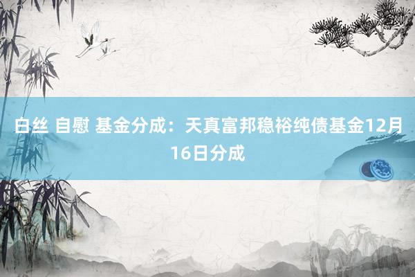 白丝 自慰 基金分成：天真富邦稳裕纯债基金12月16日分成