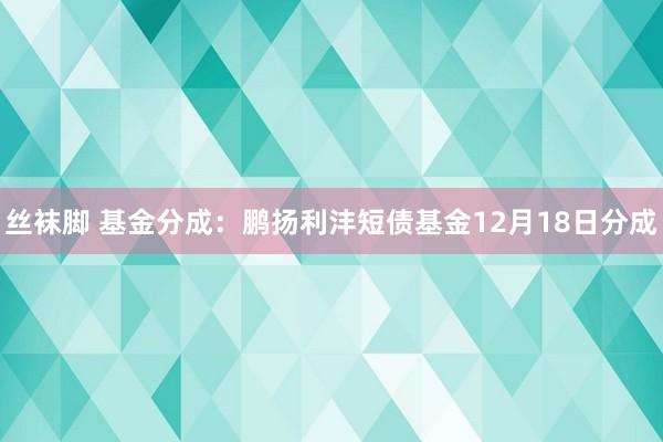 丝袜脚 基金分成：鹏扬利沣短债基金12月18日分成