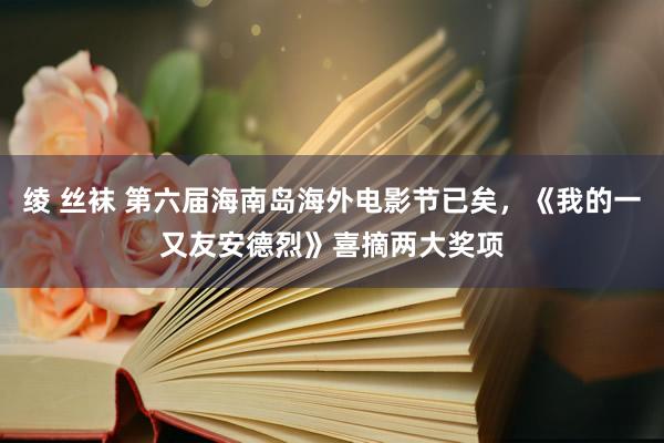 绫 丝袜 第六届海南岛海外电影节已矣，《我的一又友安德烈》喜摘两大奖项