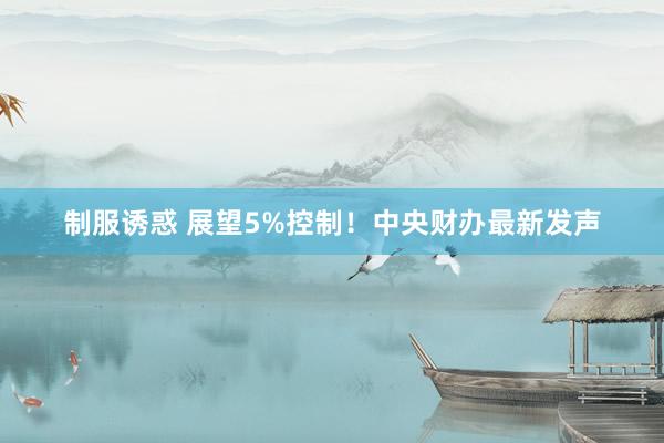 制服诱惑 展望5%控制！中央财办最新发声