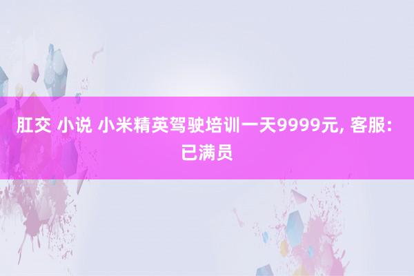 肛交 小说 小米精英驾驶培训一天9999元， 客服: 已满员