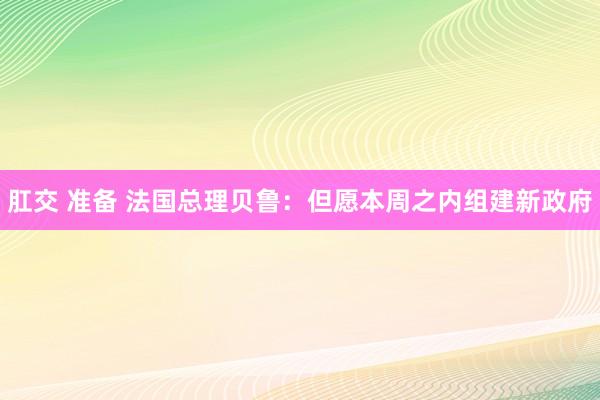 肛交 准备 法国总理贝鲁：但愿本周之内组建新政府