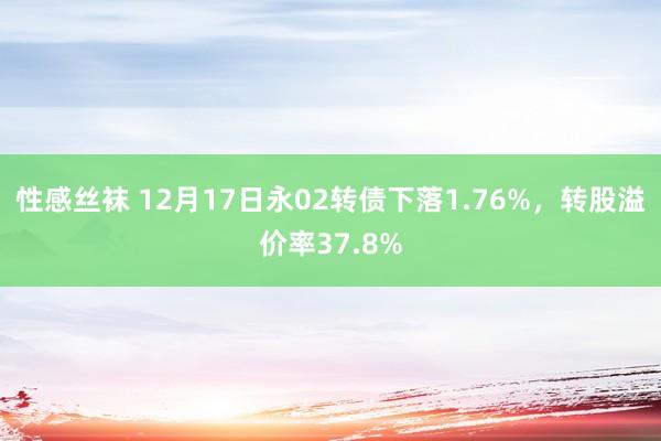 性感丝袜 12月17日永02转债下落1.76%，转股溢价率37.8%