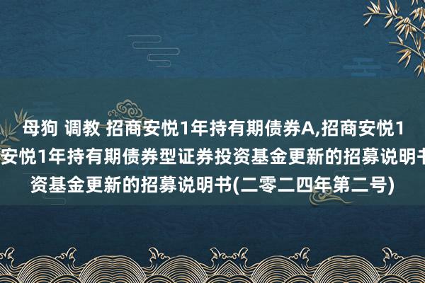 母狗 调教 招商安悦1年持有期债券A，招商安悦1年持有期债券C: 招商安悦1年持有期债券型证券投资基金更新的招募说明书(二零二四年第二号)