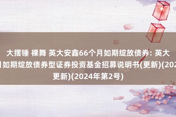 大摆锤 裸舞 英大安鑫66个月如期绽放债券: 英大安鑫66个月如期绽放债券型证券投资基金招募说明书(更新)(2024年第2号)