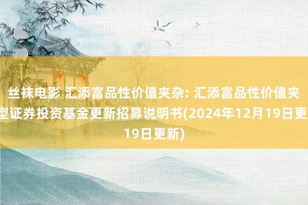 丝袜电影 汇添富品性价值夹杂: 汇添富品性价值夹杂型证券投资基金更新招募说明书(2024年12月19日更新)