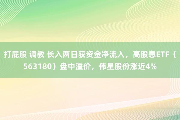 打屁股 调教 长入两日获资金净流入，高股息ETF（563180）盘中溢价，伟星股份涨近4%