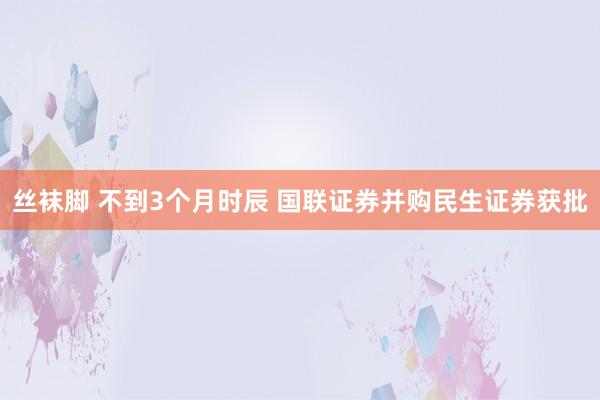 丝袜脚 不到3个月时辰 国联证券并购民生证券获批