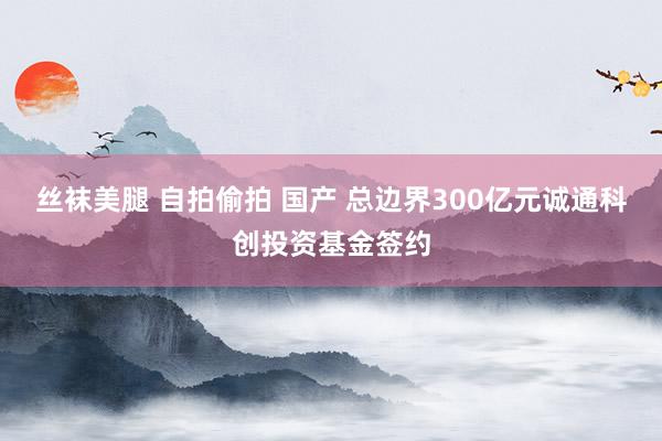 丝袜美腿 自拍偷拍 国产 总边界300亿元诚通科创投资基金签约