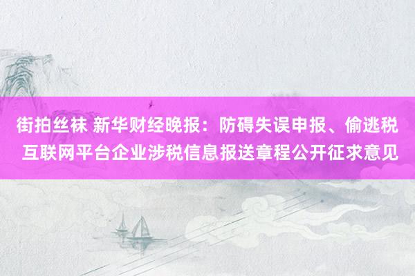 街拍丝袜 新华财经晚报：防碍失误申报、偷逃税 互联网平台企业涉税信息报送章程公开征求意见