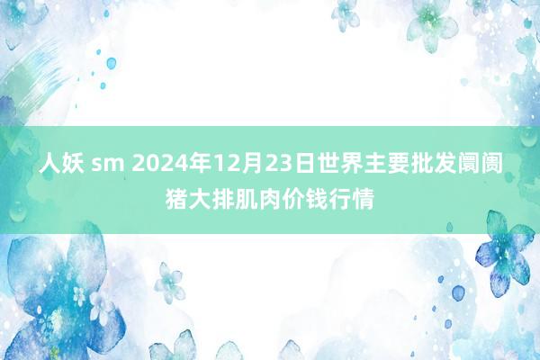 人妖 sm 2024年12月23日世界主要批发阛阓猪大排肌肉价钱行情