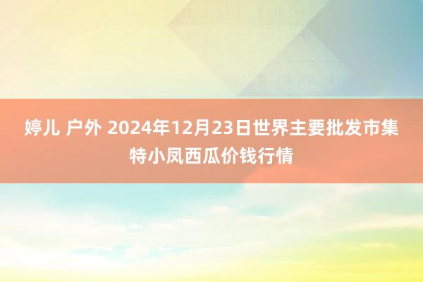 婷儿 户外 2024年12月23日世界主要批发市集特小凤西瓜价钱行情