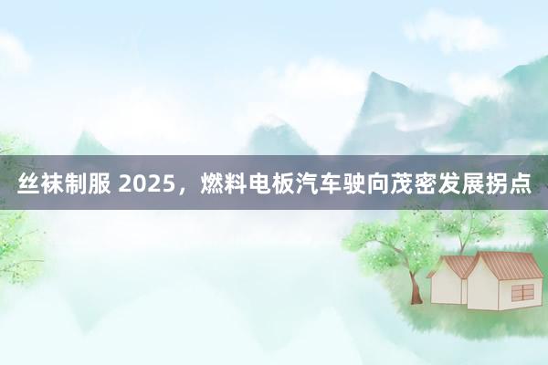 丝袜制服 2025，燃料电板汽车驶向茂密发展拐点