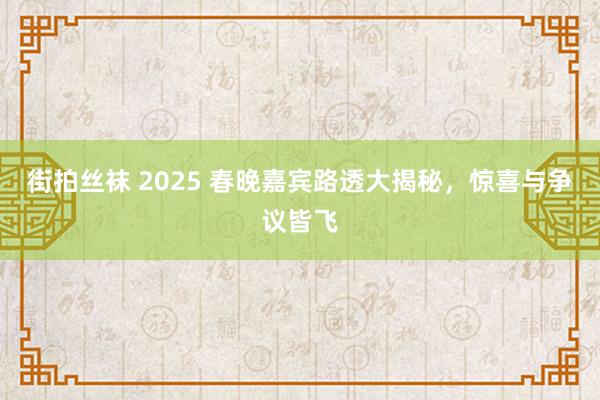 街拍丝袜 2025 春晚嘉宾路透大揭秘，惊喜与争议皆飞