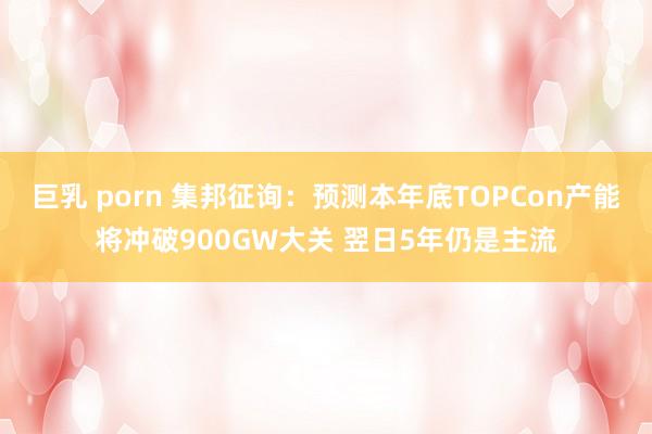 巨乳 porn 集邦征询：预测本年底TOPCon产能将冲破900GW大关 翌日5年仍是主流