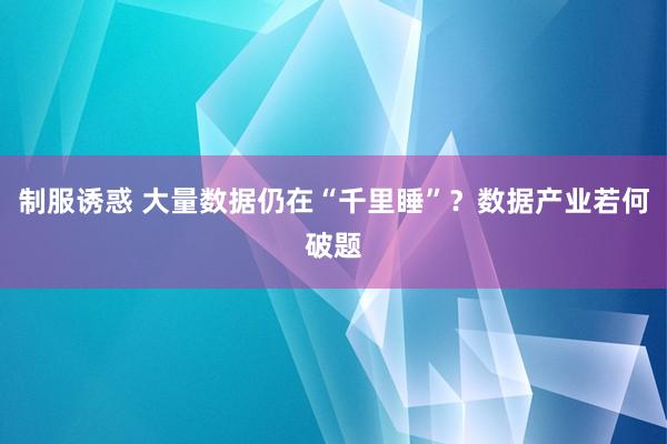 制服诱惑 大量数据仍在“千里睡”？数据产业若何破题