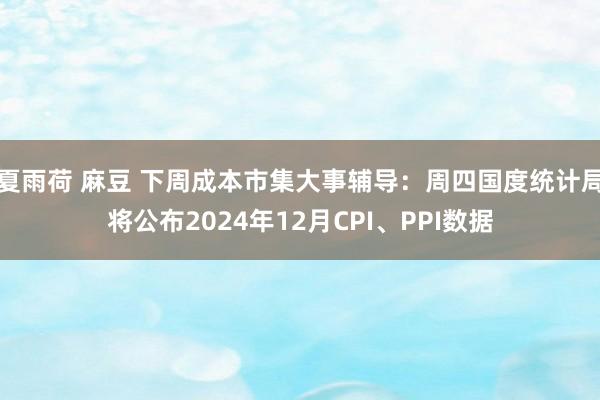 夏雨荷 麻豆 下周成本市集大事辅导：周四国度统计局将公布2024年12月CPI、PPI数据