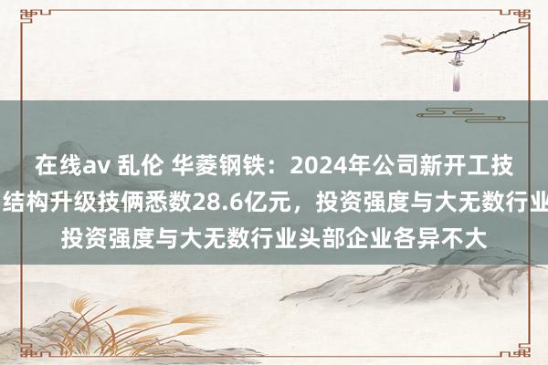 在线av 乱伦 华菱钢铁：2024年公司新开工技俩63亿元中，品种结构升级技俩悉数28.6亿元，投资强度与大无数行业头部企业各异不大