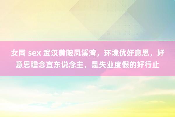 女同 sex 武汉黄陂凤溪湾，环境优好意思，好意思瞻念宜东说念主，是失业度假的好行止