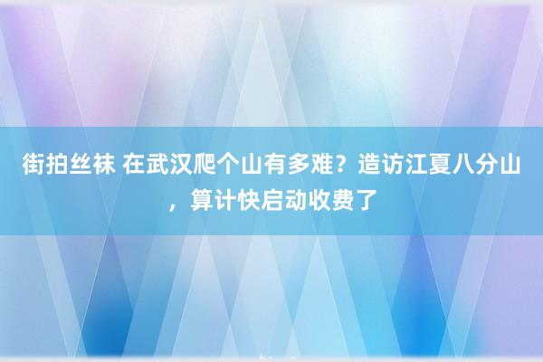 街拍丝袜 在武汉爬个山有多难？造访江夏八分山，算计快启动收费了