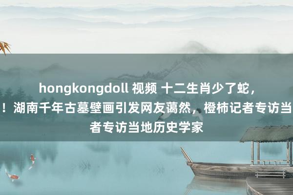 hongkongdoll 视频 十二生肖少了蛇，多了一只猫！湖南千年古墓壁画引发网友蔼然，橙柿记者专访当地历史学家