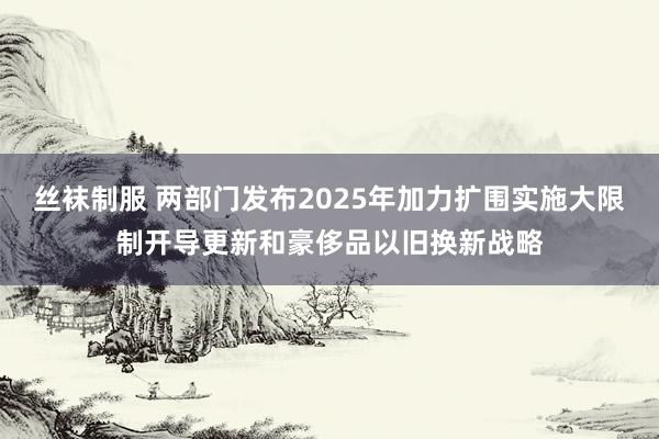 丝袜制服 两部门发布2025年加力扩围实施大限制开导更新和豪侈品以旧换新战略