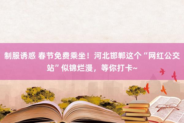 制服诱惑 春节免费乘坐！河北邯郸这个“网红公交站”似锦烂漫，等你打卡~