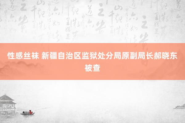 性感丝袜 新疆自治区监狱处分局原副局长郝晓东被查