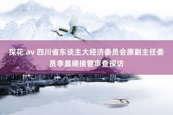 探花 av 四川省东谈主大经济委员会原副主任委员李晨曦接管审查探访